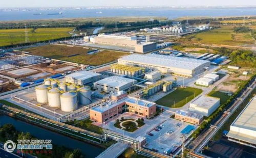 加速推進 張家港保稅區勝牌 張家港 潤滑油 開米科思新型環保制冷材料項目兩大項目蓄勢待發