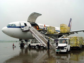 深圳至伊朗空運全指南 時效、費用、航班查詢與代理服務詳解